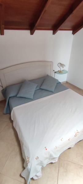 Sal Service new studio penthouse